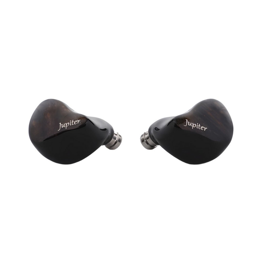 Melody Wings Jupiter Titanium-Plated DD In-Ears Monitor