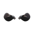 Melody Wings Jupiter Titanium-Plated DD In-Ears Monitor